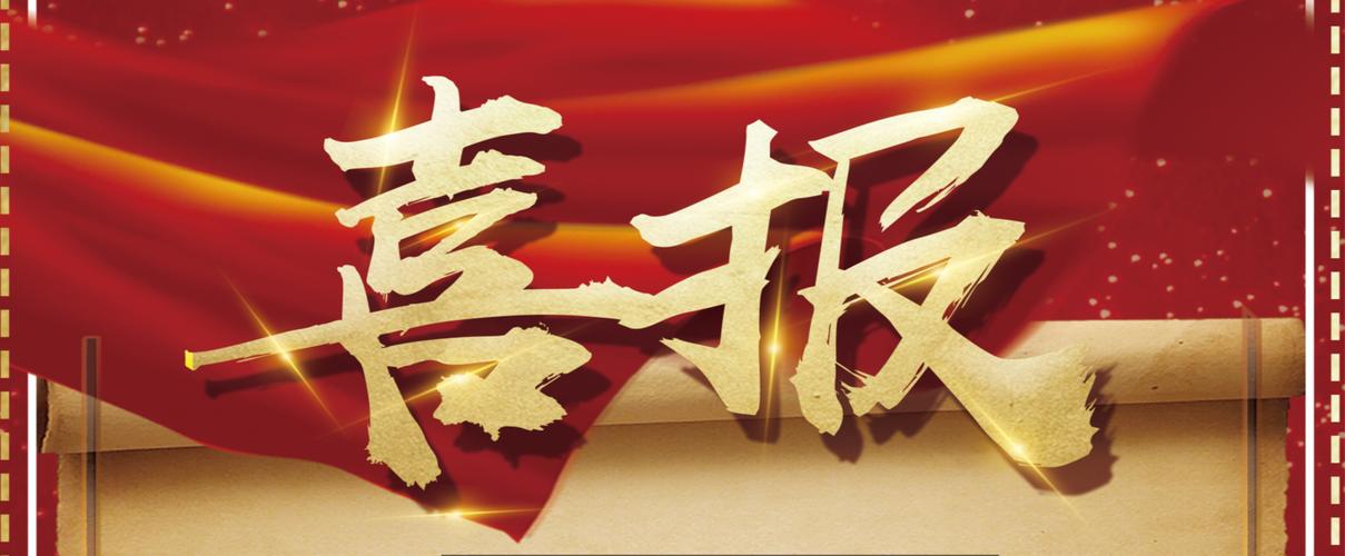 百度蜘蛛池出租适用BC站群